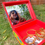 Slide image